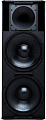 QSC E215  2 x 15" акустическая система для живых выступлений 1000 Вт, 39-20000 Гц, 134 дБ, 4 Ом 