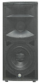 TOPP PRO TPS ALFA-1151 MKII - 2-х полосная акустическая система 250W 8 Om,15'