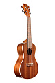 KALA KA-C Kala Mahogany Concert Ukulele укулеле-концерт, цвет натуральный