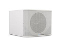 CVGAUDIO BEATBOMBER SUB-S12W Профессиональный пассивный сабвуфер, 12", фазоинвертор, 300 Вт (AES) / 600 Вт (max), 8 Ом, только внешнее кроссирование, цвет белый