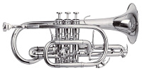 ROY BENSON CR-302S корнет Bb