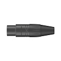 ROXTONE RX3FP-BT/50 (box/50pcs) Упаковка кабельных XLR "мама" 3pin, 50 шт. 