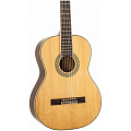 PEAVEY CNS 1 Гитара классическая