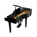 KAWAI DG30 EP цифровое пианино 