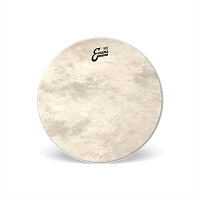 EVANS BD22CT  Пластик 22"