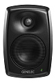 Genelec 4420AMM активная 2-полосная акустическая система