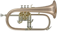ROY BENSON FH-302G Bb Флюгельгорн (цвет золото)