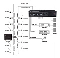 SHOW SCS-800R  Центральный блок на 30 мест с монитором 3 Вт, дополнительный микрофонный вход, выход на запись