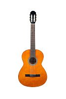 GEWApure Classical Guitar Basic Plus Natural 4/4 Классическая гитара