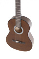 GEWA pure Classical Guitar Basic Honey Walnut 3/4 Классическая гитара