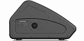 Turbosound TFM122M-AN активный сценический монитор