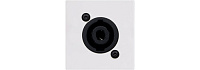 Audac CP43SPE/W Панель для настенного монтажа с разъемом Neutrik NL4MP, bTicino