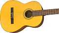 FENDER ESC-110 CLASSICAL классическая гитара, цвет натуральный, чехол в комплекте