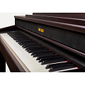 Becker BAP-62R цифровое пианино, цвет палисандр, механика New RHA-3, пластиковые клавиши