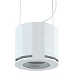 CVGAUDIO SUBone model D-6W/CR/T Профессиональный подвесной трансляционный сабвуфер, 6.5", 70 Вт/100 В, пассивный кроссовер 120 Гц, фазоинвертор, цвет белый