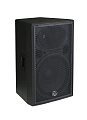 Wharfedale Pro DELTA X15 Пассивная акустическая система
