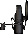 Aston Microphones Element Bundle студийный микрофон с эластичным держателем и поп-фильтром