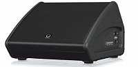 Turbosound TFM122M пассивный сценический монитор