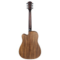 CASCHA CGA300 Performer Series акустическая гитара