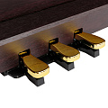 ROCKDALE Etude 64 Rosewood (RDP-5088) цифровое пианино, 88 клавиш, цвет розовое дерево (Палисандр)
