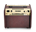 Fishman PRO-LBT-EU5  LoudBox Mini Bluetooth комбо для акустической гитары, 60 Вт