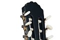 GEWApure Classical Guitar Basic Plus Natural 4/4 Классическая гитара