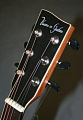 VGS B-10 Bayou Natural Satin гитара акустическая