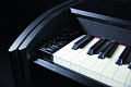 GEWA DP 240G Black matt цифровое пианино черное матовое
