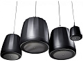 JBL Control 60PS/T PENDANT  сабвуфер с кроссовером, цвет черный