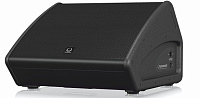 Turbosound TFM152M пассивный сценический монитор