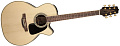 TAKAMINE G70 SERIES GN71CE-NAT электроакустическая гитара типа NEX CUTAWAY, цвет натуральный