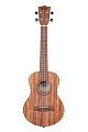 KALA KA-TEAK-T укулеле тенор, корпус тик, цвет натуральный