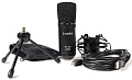 PROAUDIO UM-300 Студийный микрофон c USB интерфейсом, 1'' диафрагма, 20-20000 Гц, 16 bit/48 кГц, держатель "паук", чехол, настольная стойка-тренога