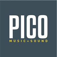 Pico RX OEM PCB. MCX. (A40901G4)  модуль приёма сигнала DMX (ресивер), 512 каналов, диапазон 2,4 Ггц, 80 мА,   82x46 мм (антенна и коаксиальный кабель в комплекте)