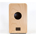 SCHLAGWERK CP609  Кахон серии Fineline, comfort Tineo, 50 см