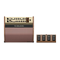TC HELICON HARMONY V100  2-канальный комбоусилитель для акустической гитары/вокала, 100 Вт