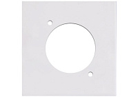 Audac CP45DSZ/W Модуль настенной панели с отверстием