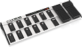 BEHRINGER FCB1010  Напольный MIDI-контроллер с двумя педалями