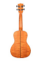 KALA KA-CEM Kala Concert Exotic Mahogany Ukulele укулеле-концерт, цвет янтарный