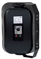 SVS Audiotechnik WSP-80 Black Громкоговоритель настенный, цвет черный