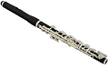 ROY BENSON PC-602 Флейта Piccolo