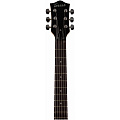 TERRIS TLP-039 BK электрогитара Les Paul, HH, 2V2T, цвет черный