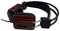 Arthur Forty EWS 1X 2009 Наушники мониторные