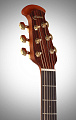 OVATION CE44P-FKOA Celebrity Elite Plus Mid Cutaway Natural Figured Koa электроакустическая гитара