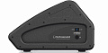 Turbosound TFM122M пассивный сценический монитор