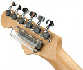 PLANET WAVES PWGS-DSM Стеклянный слайд, средний