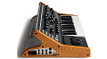 Moog Subsequent 25  компактный парафонический синтезатор