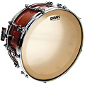 EVANS CS14SS  Пластик 14"