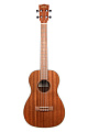 KALA KA-BG Kala Mahogany Baritone Gloss Ukulele укулеле, форма корпуса баритон, цвет натуральный (глянцевый)