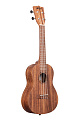 KALA KA-TEAK-C укулеле концерт, корпус тик, цвет натуральный